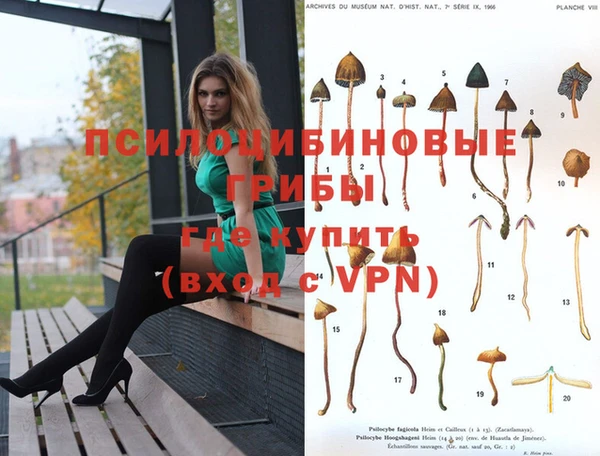 экстази Чегем
