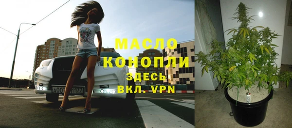 не бодяженный Ельня
