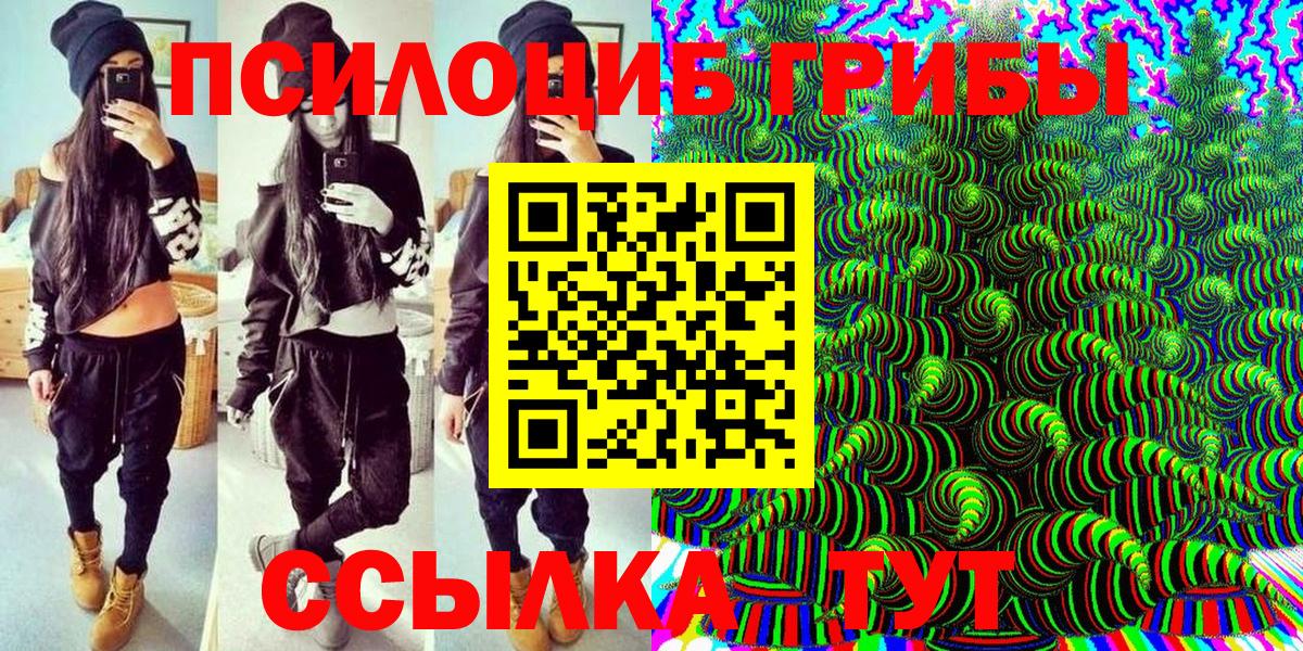 Галлюциногенные грибы мицелий  Горячий Ключ  Псилоцибиновые грибы Psilocybine cubensis 