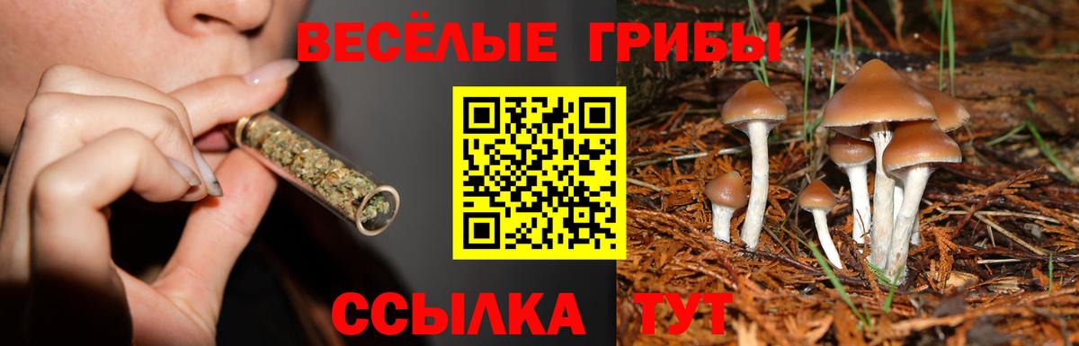 Псилоцибиновые грибы ЛСД Горячий Ключ