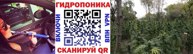 Конопля гибрид ОМГ ОМГ ССЫЛКА Горячий Ключ